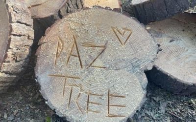 The Best Tree Care Company in Aiken